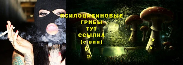 прущие грибы Абдулино