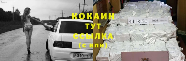 прущие грибы Абдулино