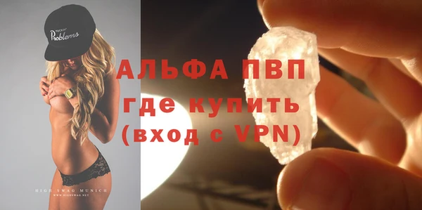 прущие грибы Абдулино