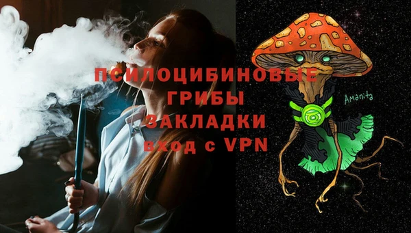 прущие грибы Абдулино