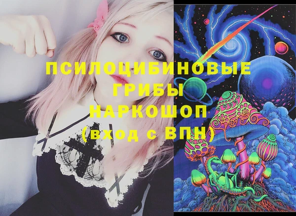 прущие грибы Абдулино