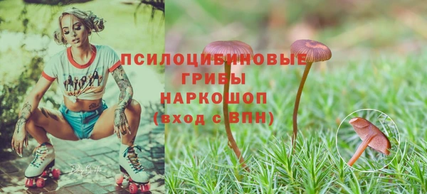 спайс Абинск