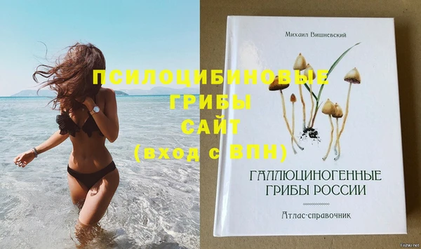 спайс Абинск