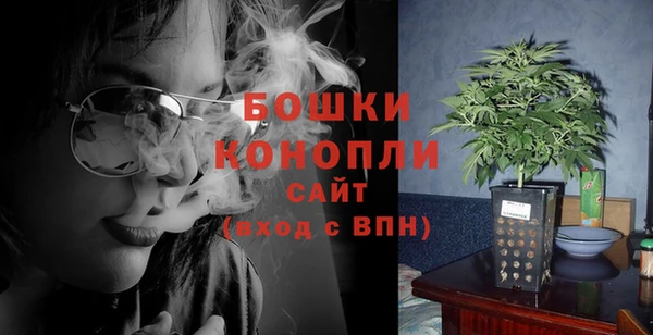 прущие грибы Абдулино