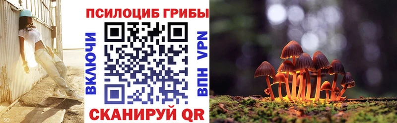 закладка  Зея  Галлюциногенные грибы GOLDEN TEACHER 